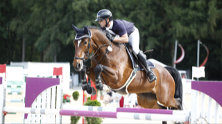 Linaro (genannt Päuli)