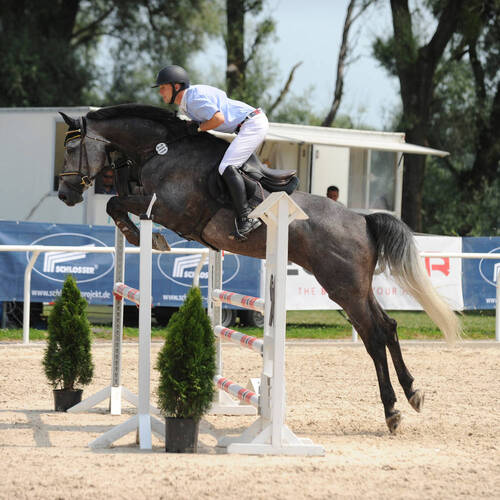 Description de l'image