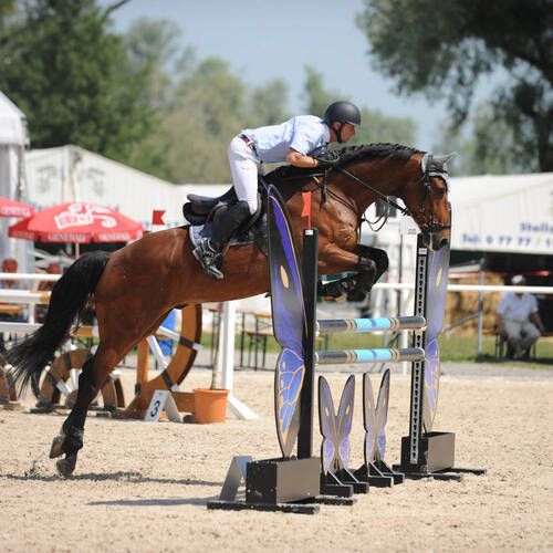 Description de l'image