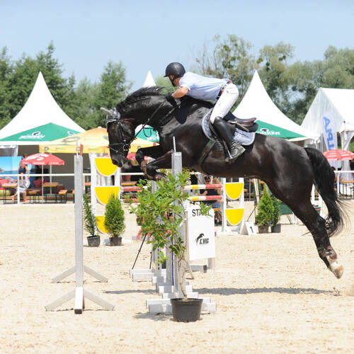 CS Hard 3.-5. Juli 2015