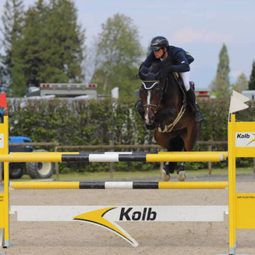 Description de l'image