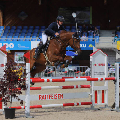 Description de l'image