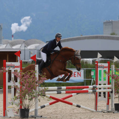 Description de l'image