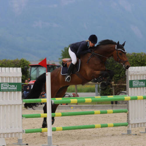 Description de l'image