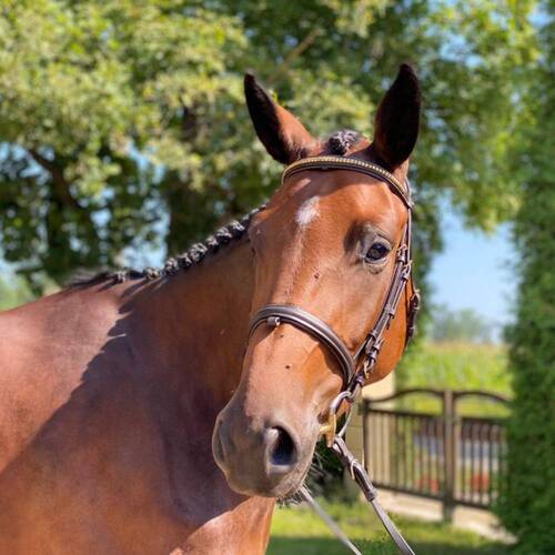 Piombina    VERKAUFT