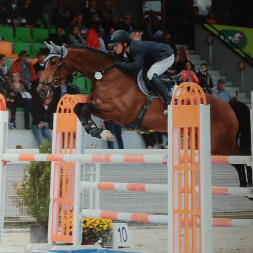 Description de l'image