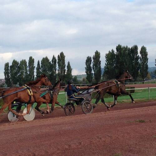 Description de l'image