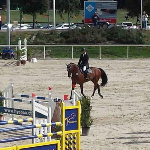 Description de l'image