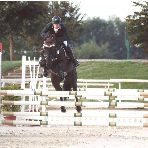 Description de l'image