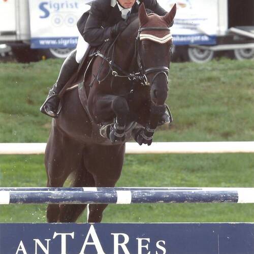 Description de l'image