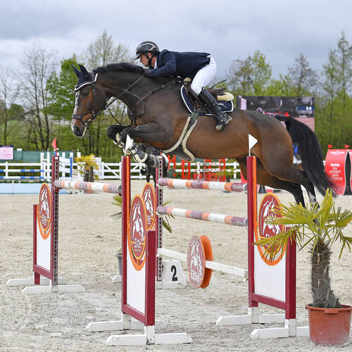 CSI Lamprechtshausen 6.-9. Mai 2021