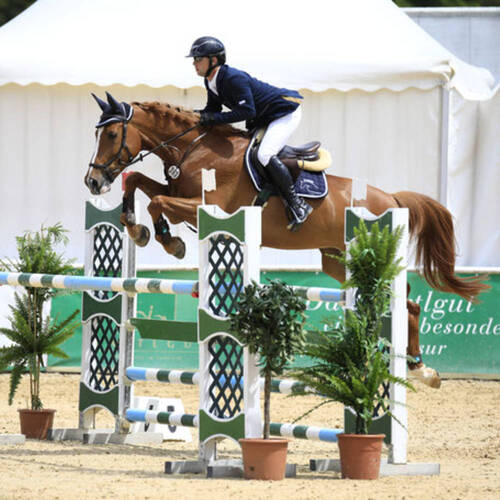 Description de l'image