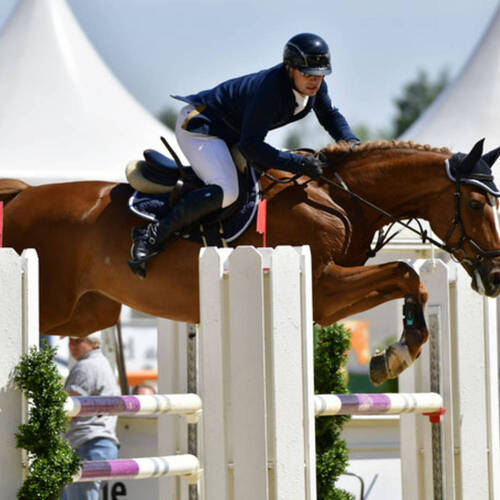 Description de l'image