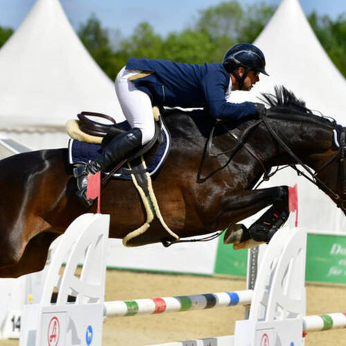 Description de l'image