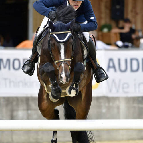 Description de l'image