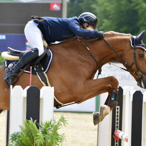 Description de l'image