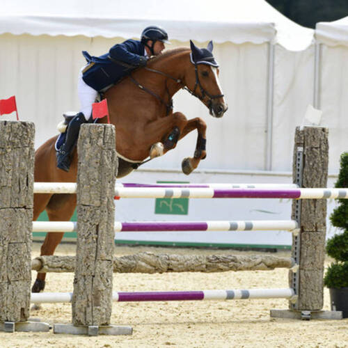 Description de l'image