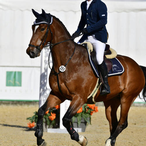 Description de l'image