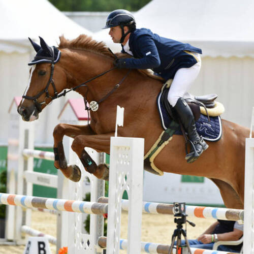 Description de l'image