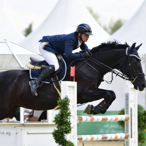 Description de l'image