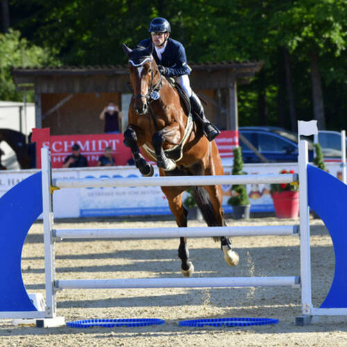 Description de l'image