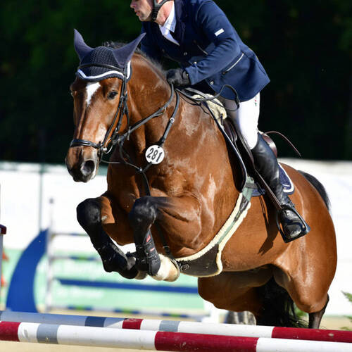 Description de l'image