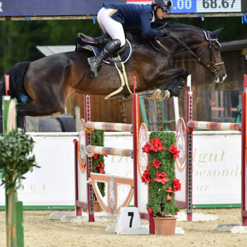 Description de l'image