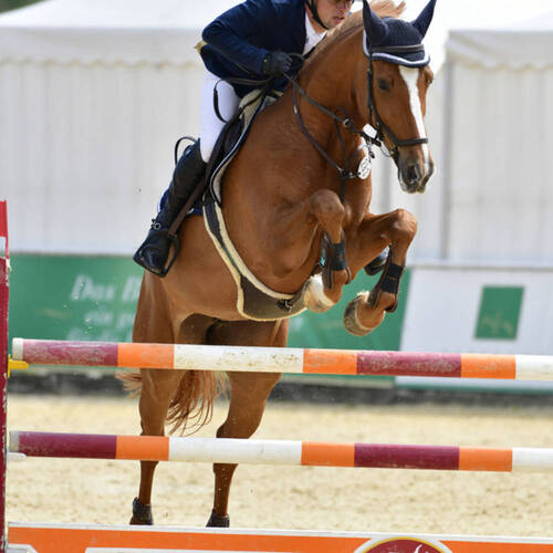 Description de l'image