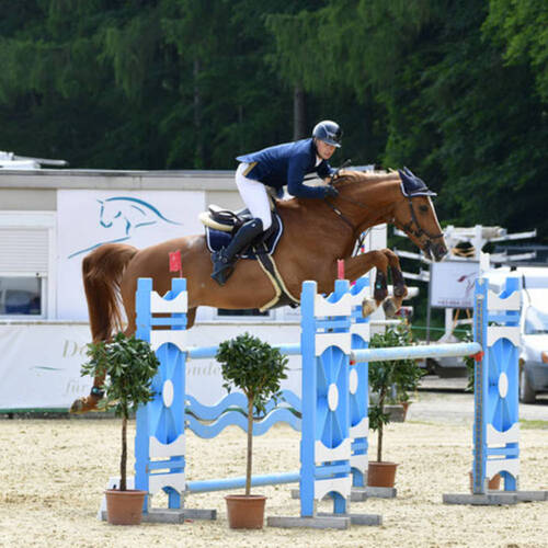 Description de l'image