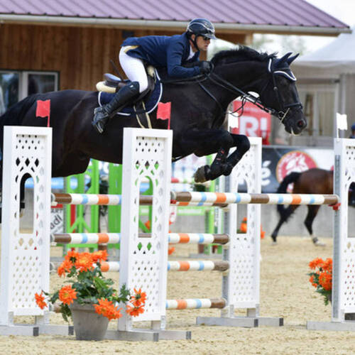 Description de l'image