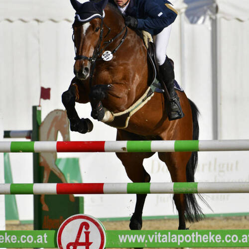 Description de l'image