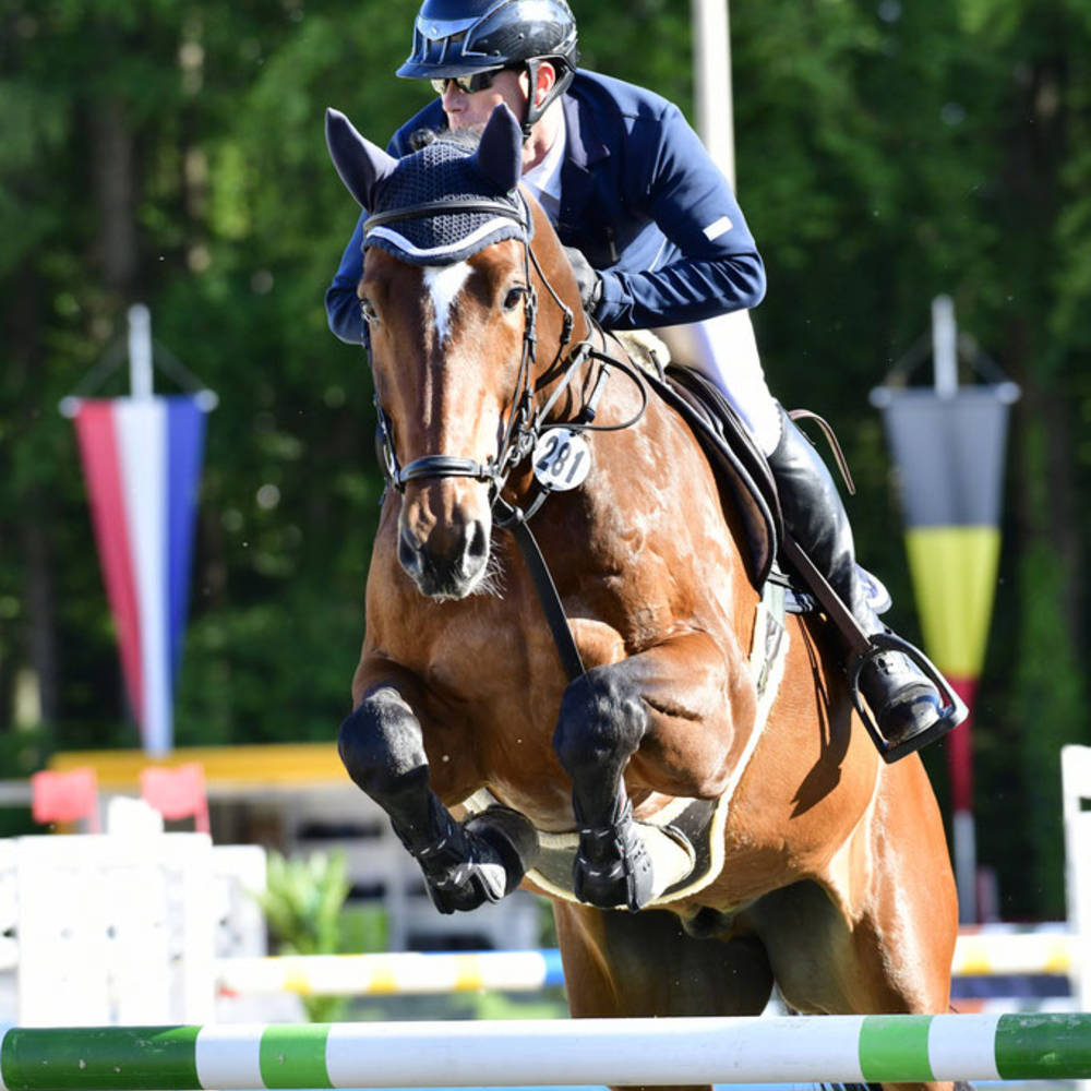 CSI Ranshofen 23. - 26. Mai