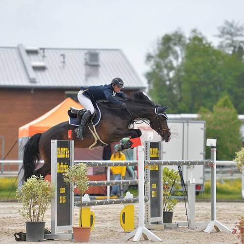 Description de l'image