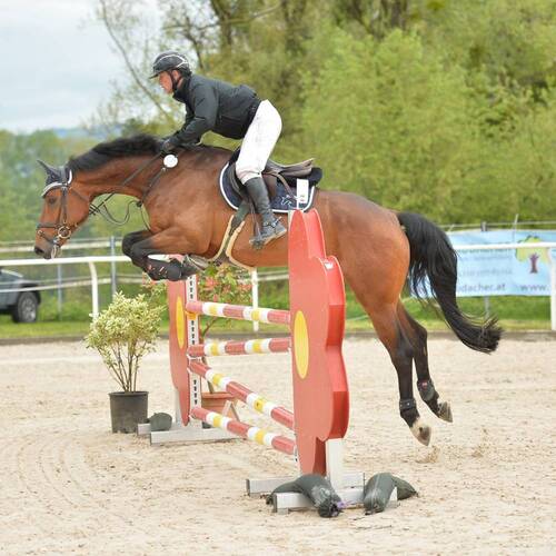 Description de l'image