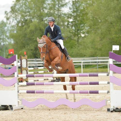 Description de l'image