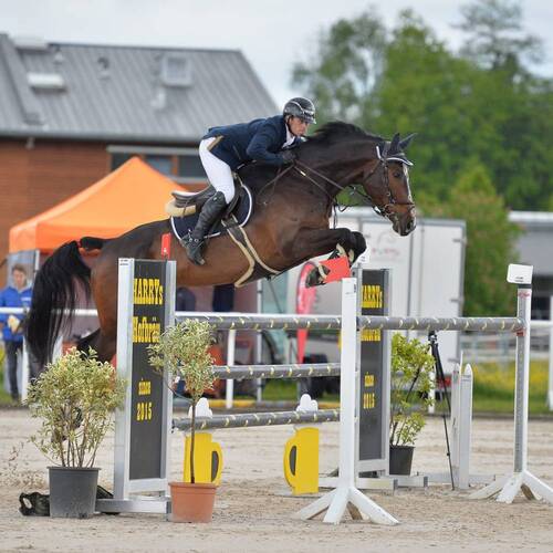 Description de l'image