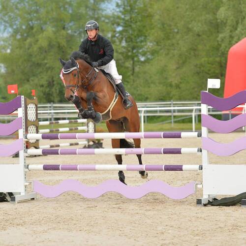 Description de l'image