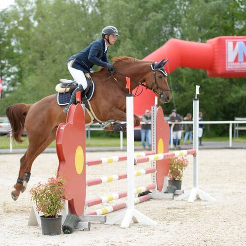 Description de l'image