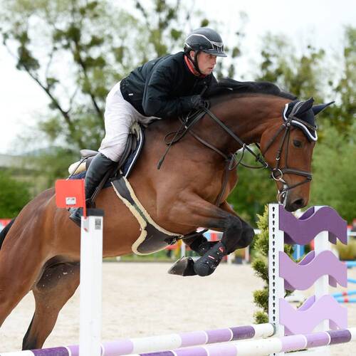 Description de l'image