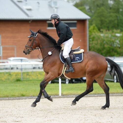 Description de l'image