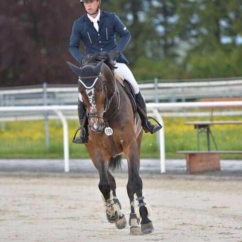 Description de l'image