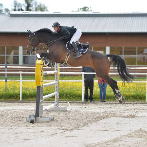 Description de l'image