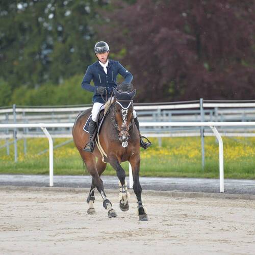 Description de l'image