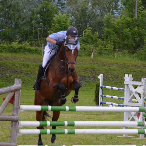 Fahr und Springtage Kriessern 30.-31. Mai 2015