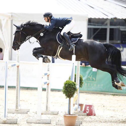 Description de l'image