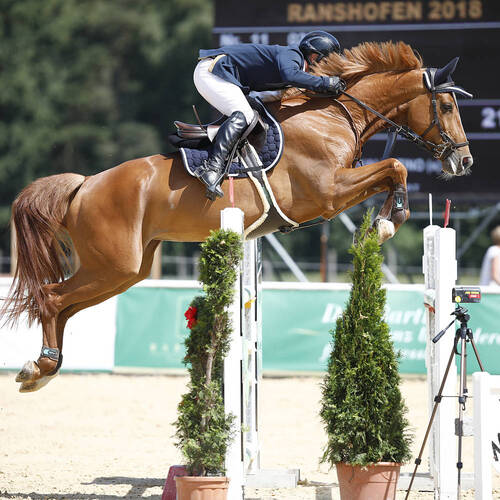 Description de l'image