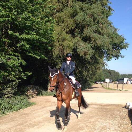 Description de l'image