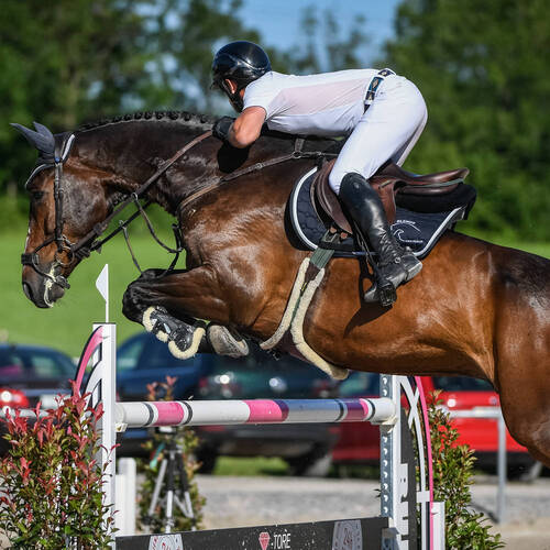 Description de l'image