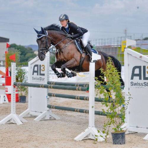 Description de l'image