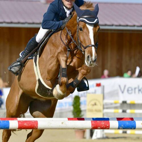 Description de l'image